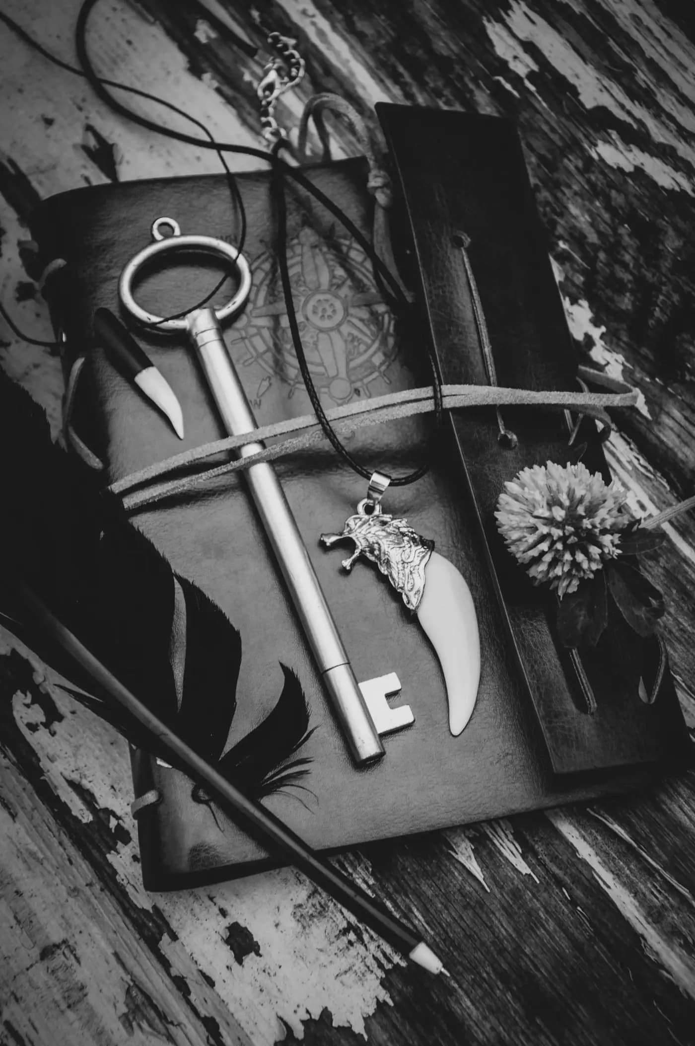 Creative workspace with natural inspiration.